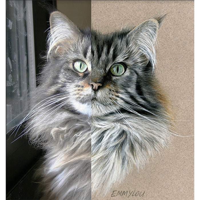 cat portrait from photo